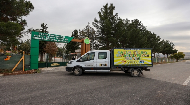 Gaziantep'te yemek atıkları sahipsiz kedi ve köpekler için mamaya dönüşüyor