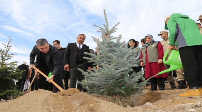 Gümüşhane'de örtü yangınında ölen kişinin anısına hatıra ormanı oluşturuldu