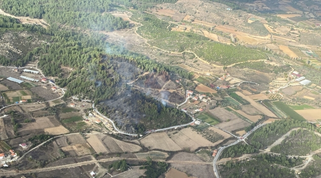 Muğla'da çıkan orman yangını söndürüldü