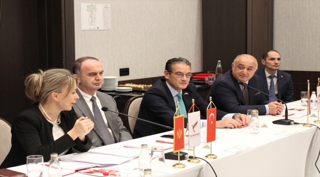 Karadağ Türk Ticaret Odasından Türkiye ve Karadağ'ın ekonomik işbirliğine destek