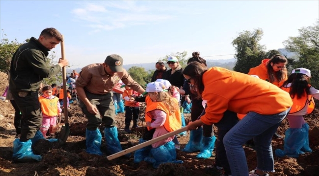 Karadeniz'de "Milli Ağaçlandırma Günü" kapsamında fidan dikildi