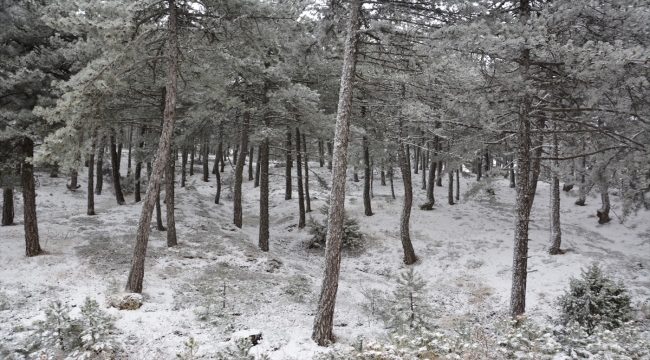 Manisa'da kar yağışı dağları beyaza bürüdü