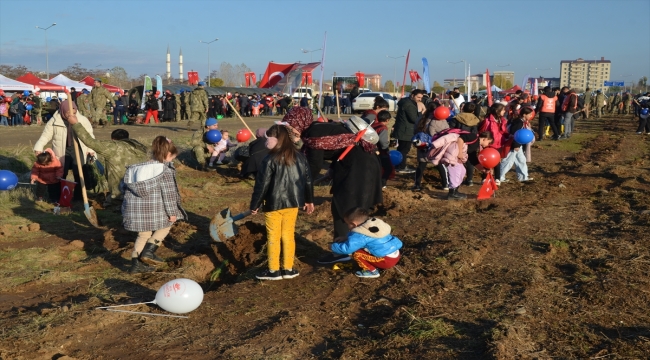 Muş'ta "Türkiye Yüzyılı Mehmetçik Hatıra Ormanı" oluşturuldu