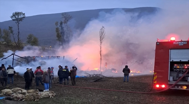 Tokat'ta çıkan yangında 50 koyun telef oldu