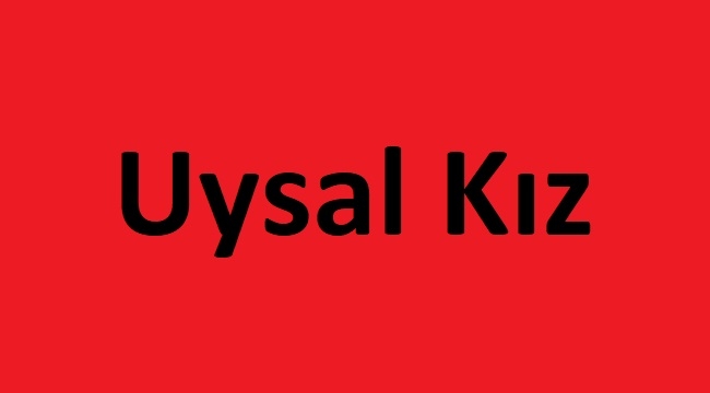 Uysal Kız kitap özeti, Dostoyevski Uysal Kız kitabı ne anlatıyor