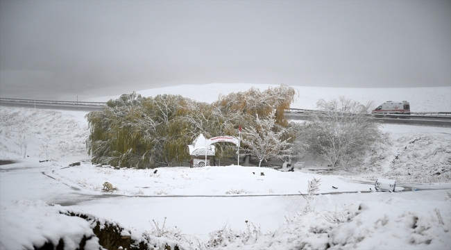 Van, Bitlis ve Muş'un yüksek kesimlerinde kar etkili oldu