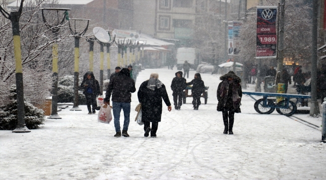 Ağrı ve Kars'ta kar yağışı etkili oluyor