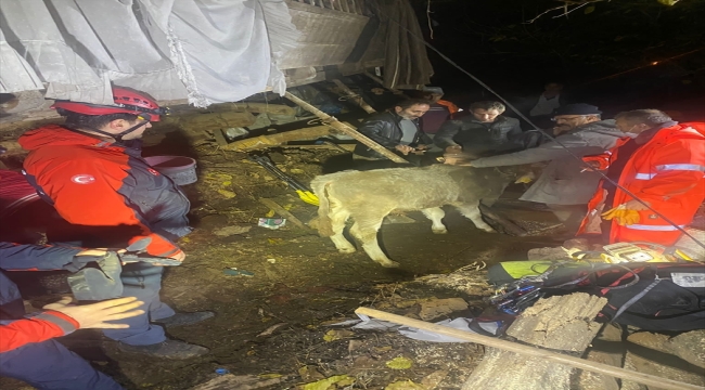 Artvin'de heyelanda 2 katlı ahşap ev ve ahır yıkıldı