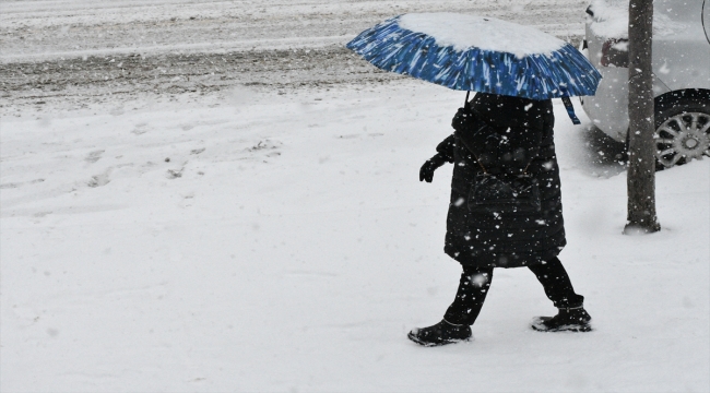 Erzurum ve Kars'ta kar etkili oluyor