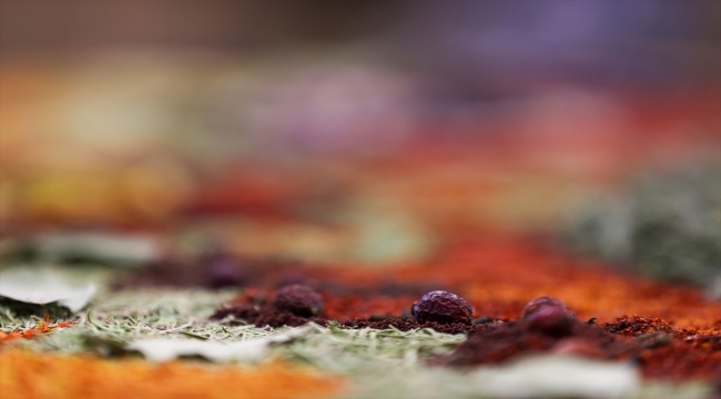 Gastronomi kenti Gaziantep'te mozaik sanatçısı baharatları sanata dönüştürdü