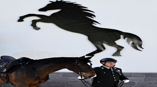 Gazi binici, atın üzerinde özgürlüğe dönüşen hayatını olimpiyatla süsleme peşinde