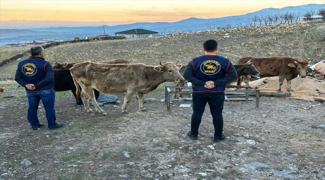 Iğdır'da ahırdan büyükbaş hayvan çaldığı iddia edilen 3 kişi tutuklandı