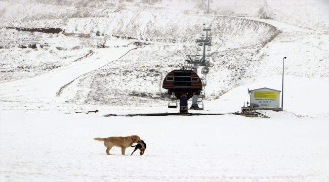 Kahramanmaraş'taki Yedikuyular Kayak Merkezi'ne mevsimin ilk karı yağdı