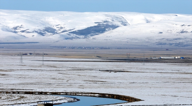 Kars, Ağrı ve Ardahan'da kar yağışı etkili oluyor