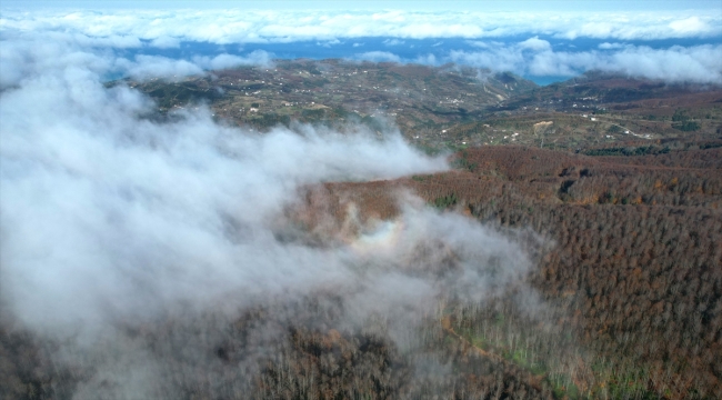 Kastamonu'da vadilere çöken sis ve ormanlık alanlar dron ile görüntülendi