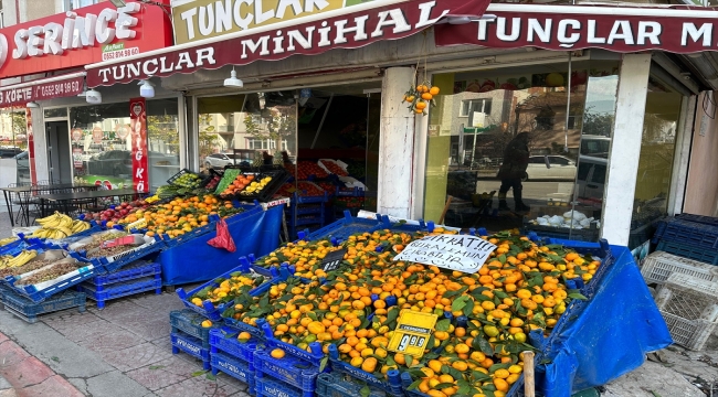 Manavdan aldığı mandalinaların arasından çıkan bukalemun "Patron"u evinde besliyor