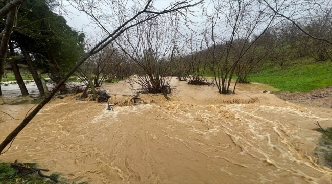 Sakarya ve Düzce'de sağanak etkili oldu