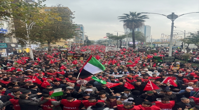Şanlıurfa'da "Filistin'e özgürlük için yürüyoruz" etkinliği düzenlendi