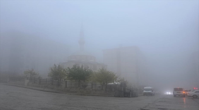 Şırnak'ta kar, sağanak ve sis hayatı olumsuz etkiledi