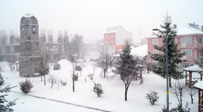 Tokat'ın ilçelerinde kar yağışı etkili oldu