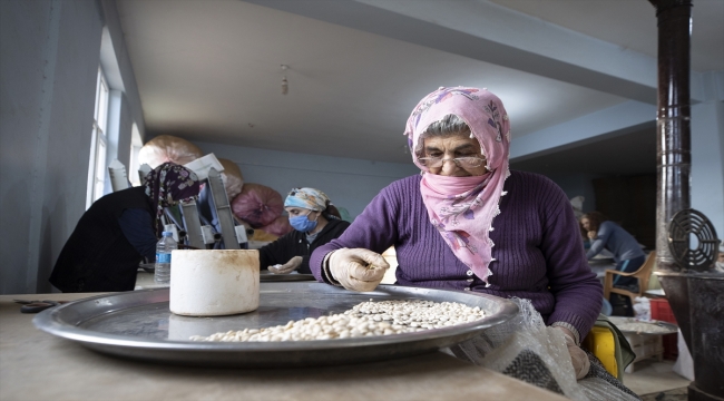 Tunceli'nin organik kuru fasulyesi kadınlarca ayıklanıp iç pazarda satılıyor