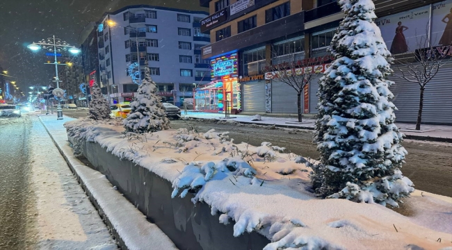Van'da kent merkezi ve bazı ilçeler kar yağışıyla beyaza büründü 