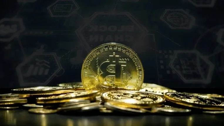 700 Milyon Dolarlık Bitcoin’i Çöpe Attı, Şimdi Çöplüğü Satın Almak İstiyor!