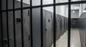 Adana’da 825 Kilo Eroin Operasyonu: 16 Kişi Tutuklandı, Şebeke Lideri Firarda