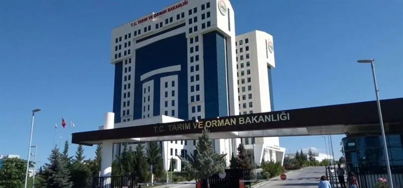 Hayvan pazarları 