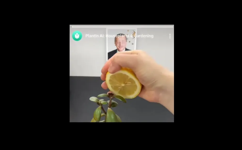 Cumhurbaşkanının fotoğrafını aplikasyon reklamında kullandılar