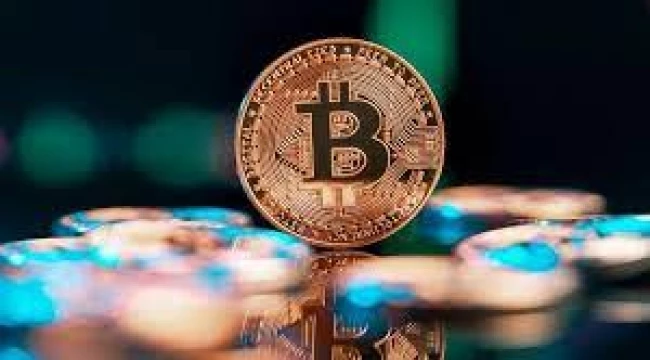 VeBitcoin kime ait, VeBitcoin kaç para dolandırdı?