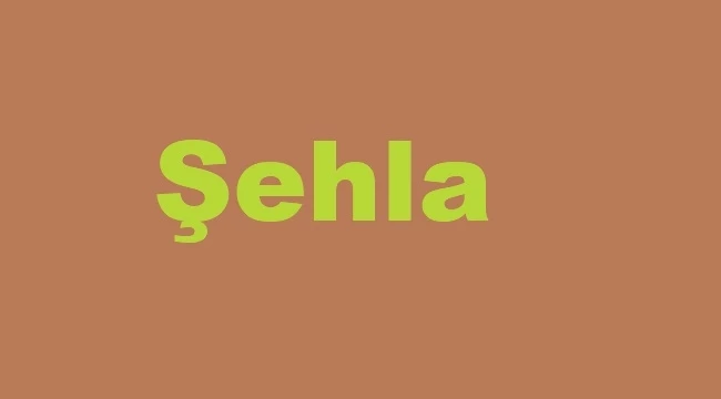 Şehla nedir, şehla bakışlı kime denir?