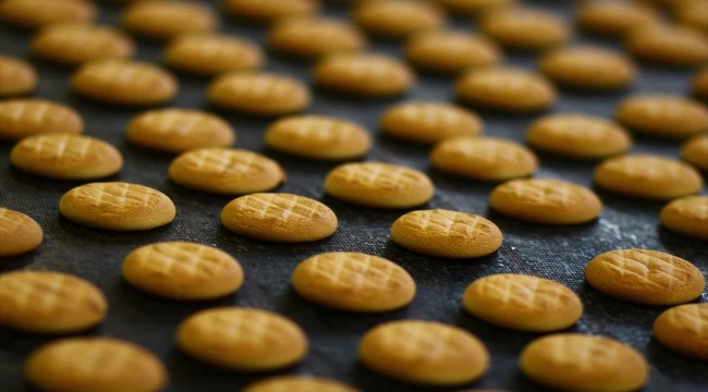 Aliağa bisküvilik buğdayı Ülker ürünleriyle buluştu