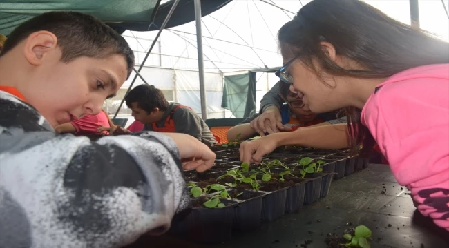 Çiçek yetiştirip galoş üreten 