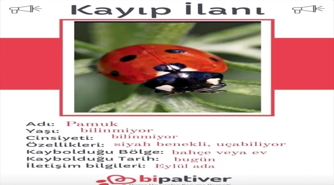 Kırşehir