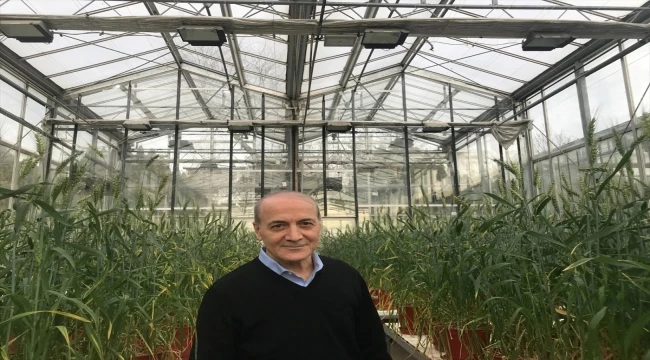 Prof. Dr. İsmail Çakmak, 