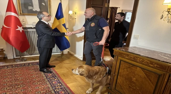 İsveç
