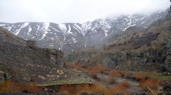 Aras Dağları
