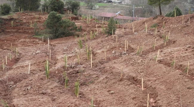 Karabük