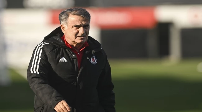 Teknik direktör Şenol Güneş, Beşiktaş