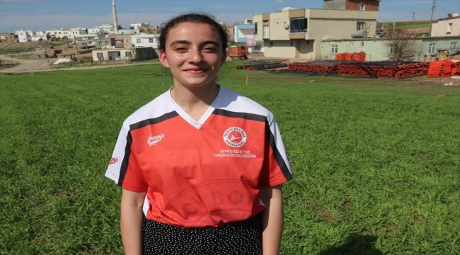 Diyarbakır