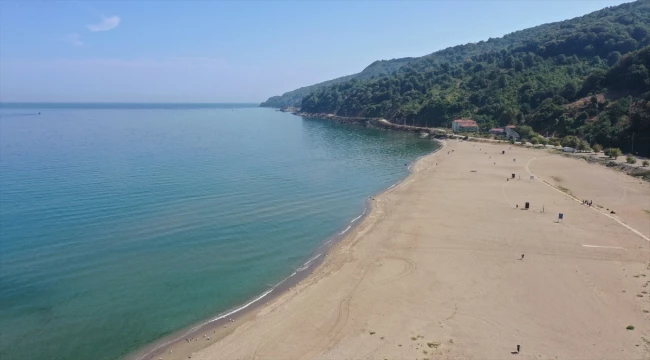 Bursa