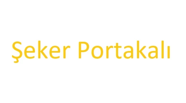 Şeker Portakalı kitap konusu nedir