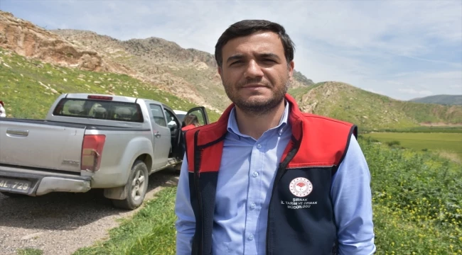 Şırnak