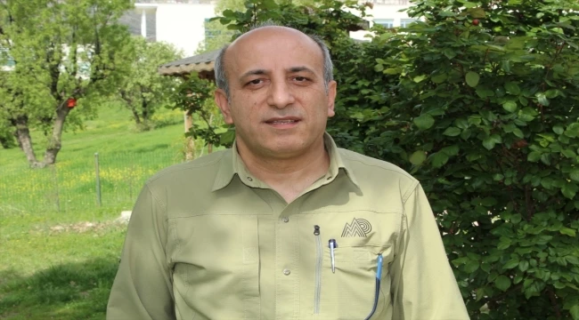 Şırnak