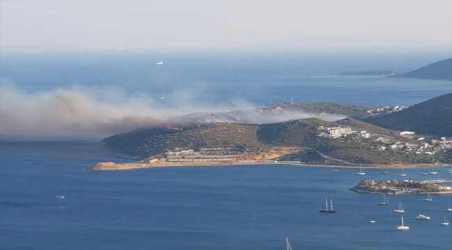 Datça