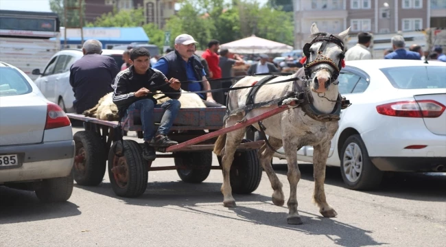 Kars