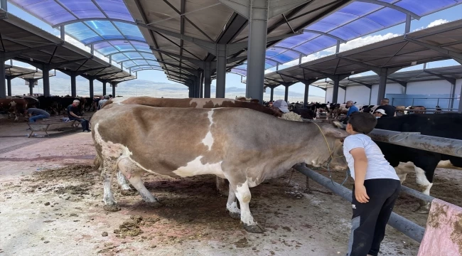 Kayseri ve Niğde