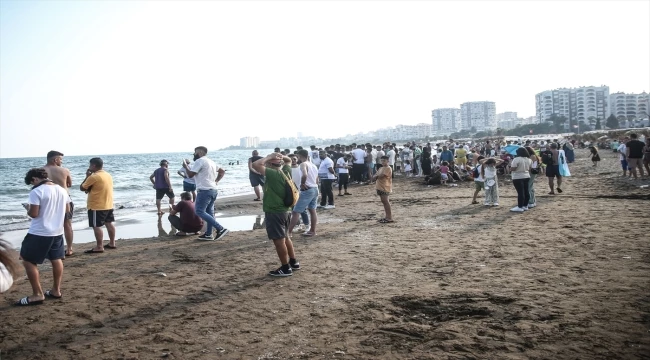 Mersin