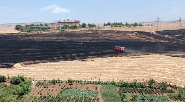 Siirt